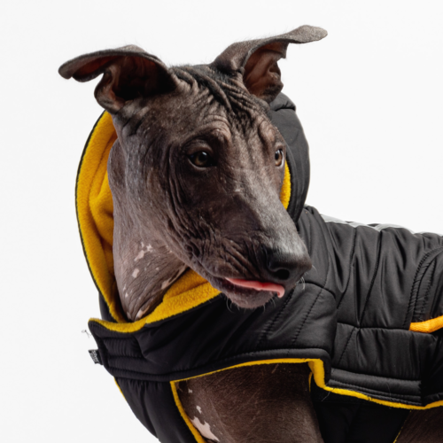 Pet Jackets